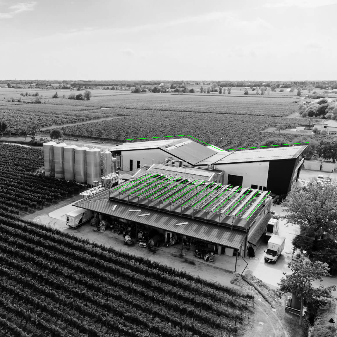 organic wine cellar